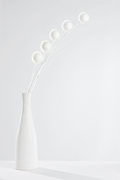 Photograph Anil Akkus White Flowers on One Eyeland
